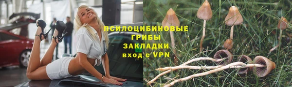 таблы Алзамай