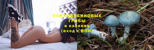 меф Алексин